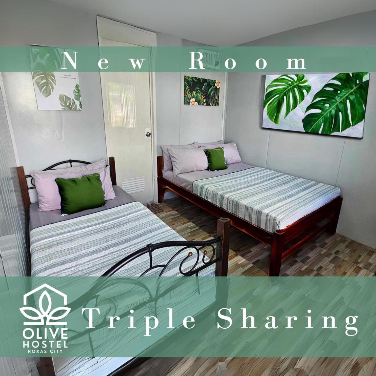Olive Hostel Roxas City Eksteriør billede
